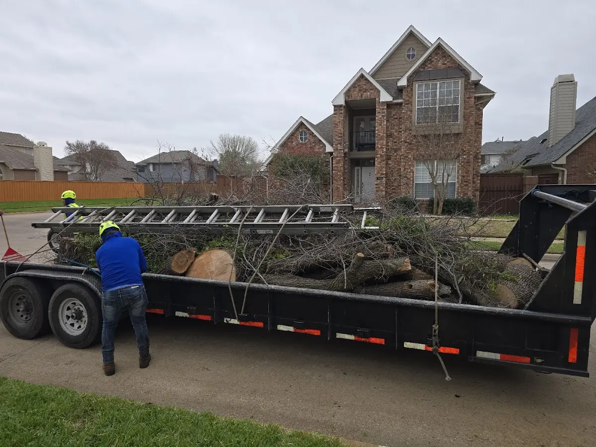 Expert Tree Removal with proper safety equipment in Marietta